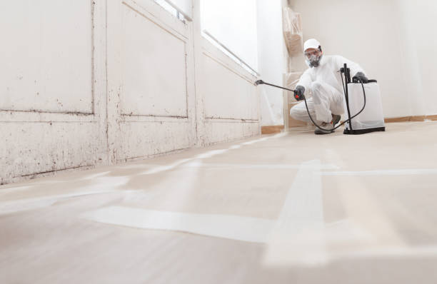 24/7 Emergency Commercial Mold Remediation experts in McHenry, IL