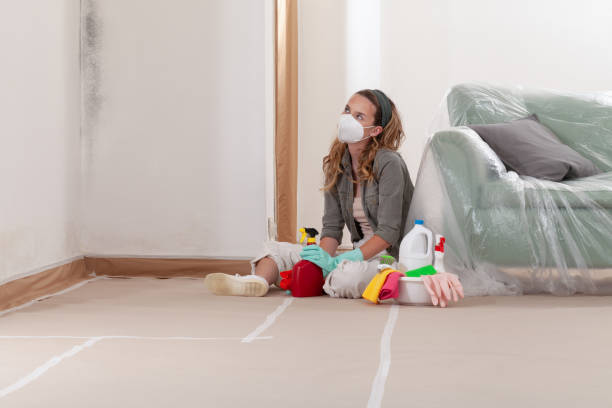 Reliable Commercial Mold Remediation contractor in McHenry, IL by 24 Hour Mold Removal